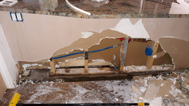 Best Water damage mitigation services  in Clearwater, MN