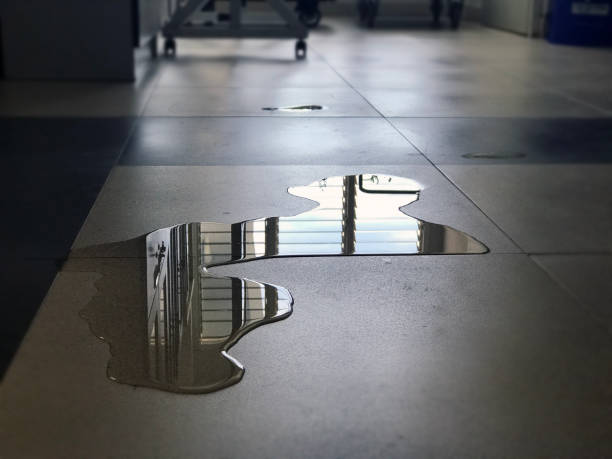 Best Water damage restoration near me  in Clearwater, MN