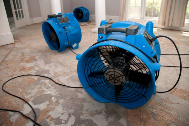Best Sewage cleanup and water damage restoration  in Clearwater, MN