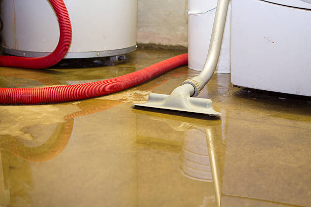 Best Flood damage cleanup  in Clearwater, MN