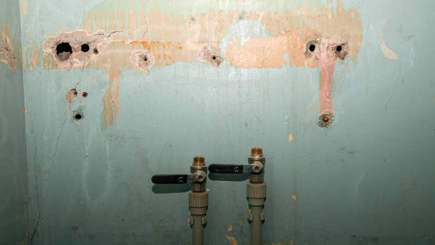 Best 24-hour water damage restoration  in Clearwater, MN