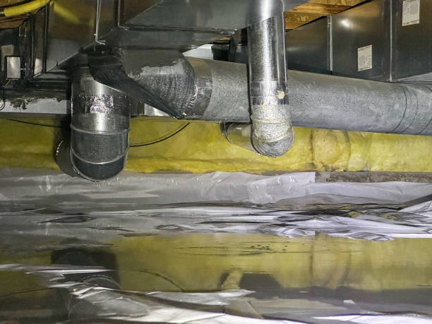 Best Flood restoration services  in Clearwater, MN