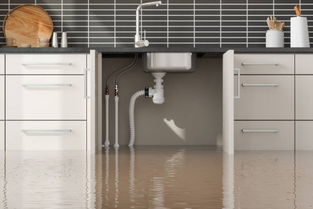 Best Carpet water damage restoration  in Clearwater, MN