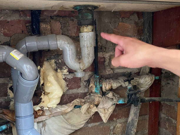 Best Residential water damage restoration  in Clearwater, MN