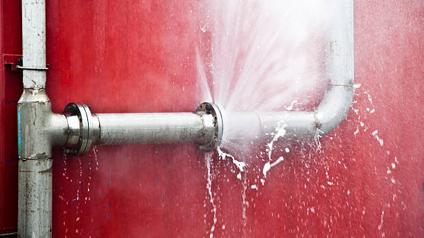 Best Local water damage restoration  in Clearwater, MN
